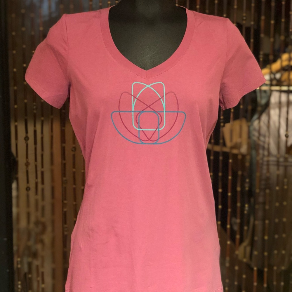 NWT Arcteryx V-neck t-hirt